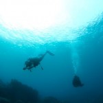 Reef Hawaiian Pro bastidores 5 150x150 FOTOS   As maravilhas de Haleiwa, Hawaii