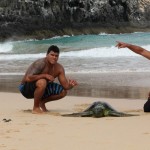 abl noronha longboard pro 12 150x150 Galeria de fotos Noronha Longboard Pro 