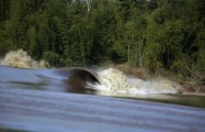 O crescimento do surf na pororoca O ano de 2012 promete ser dos mais importantes para o crescimento do surf na pororoca. O Campeonato Brasileiro de Longboard será realizado será realizado na pitoresca cidade de Ararí,...