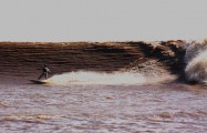 Entre os dias 5 e 8 de abril será realizado o inédito Campeonato Brasileiro de Longboard nas águas da pororoca do Rio Mearim, município de Arari, no Maranhão. Após 14...
