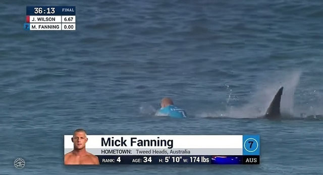 Tubarão ataca Mick Fanning na final do J-Bay Open
